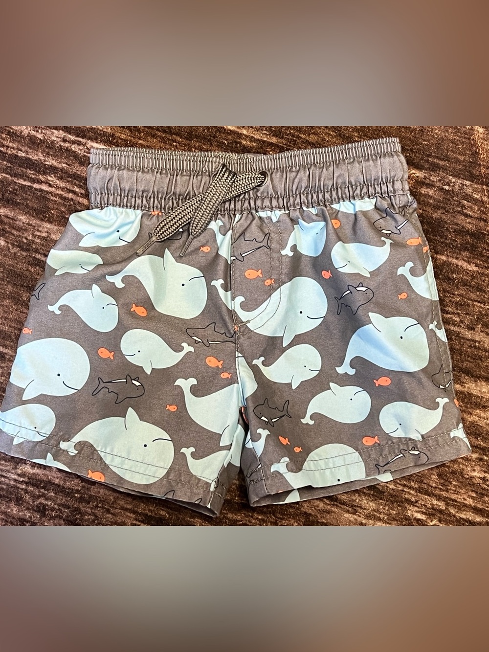 Whale Print Swim Shorts